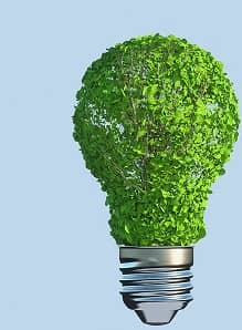 Clean India Green India