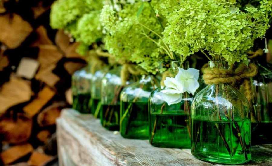 Using empty jars and bottles for planting