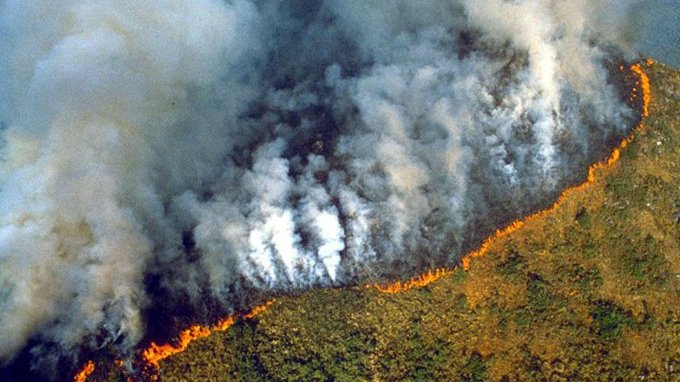 Manmade disasters, amazon forest fire