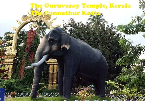 The Punnathur Kotta- The Guruvaray Temple