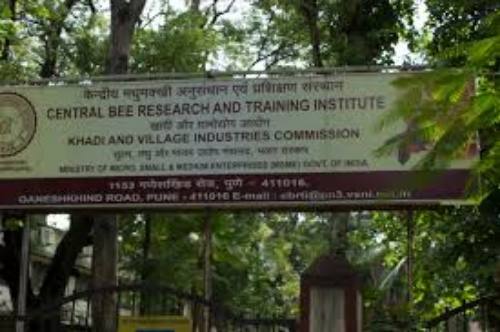 Central Bee Research and Training Institute- Training institute in India