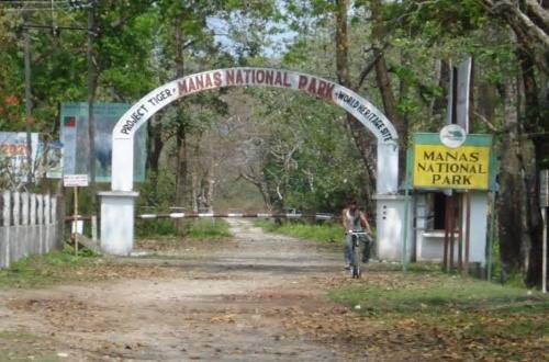 Manas National Park- conservation of plants and animals
