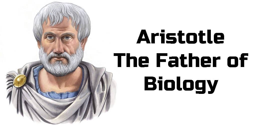 Aristotle: The Father of Biology Aristotle- the father of BI0l0GY and  Z00l0GY