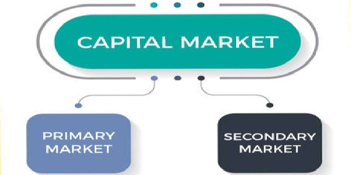 Types of capital market in india