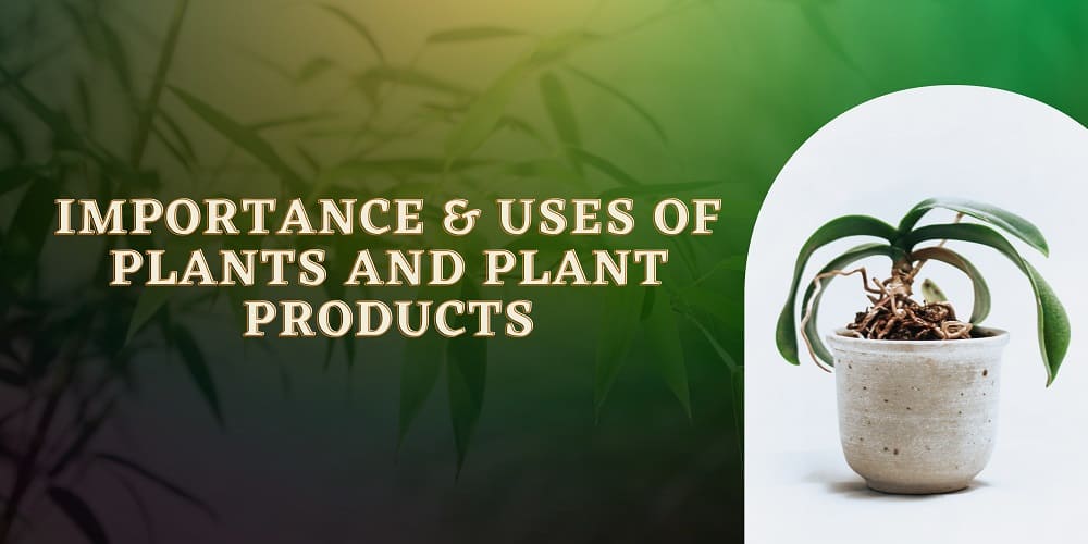Uses of plants and plant products