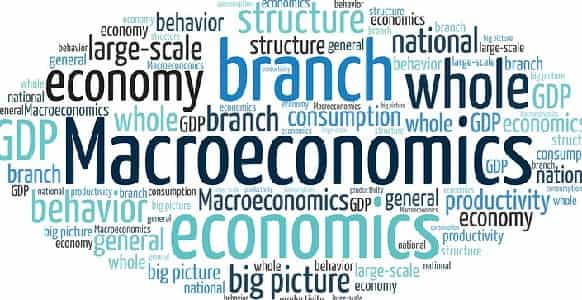 micro and macro economics distinguish between