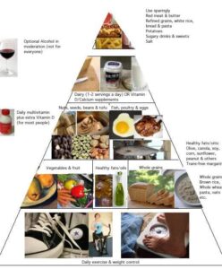Nutrition in human beings examples