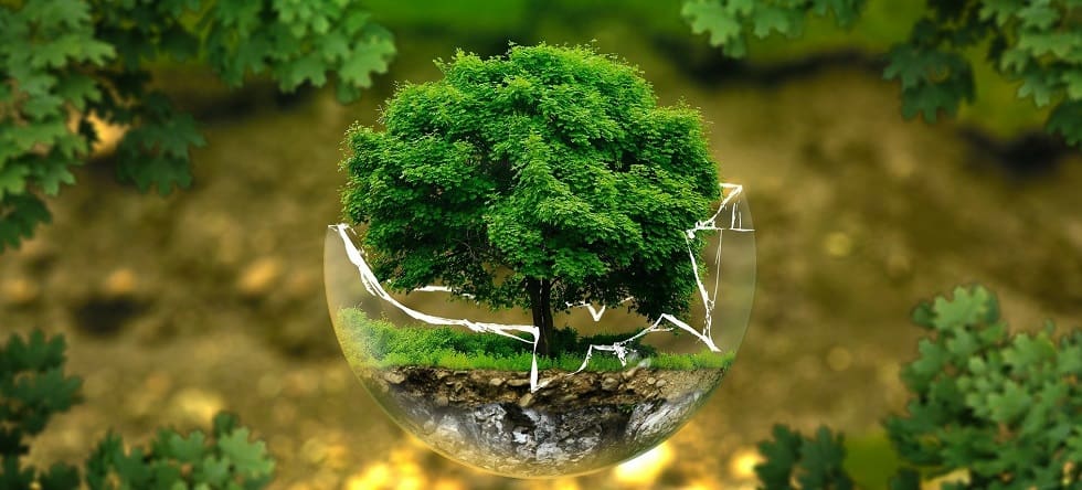 World Environment Day- Essay for Students