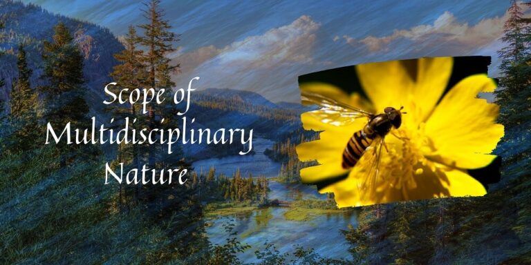 Multidisciplinary Nature Of Environmental Studies Scope Importance