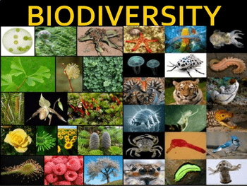 multidisciplinary nature of environmental studies