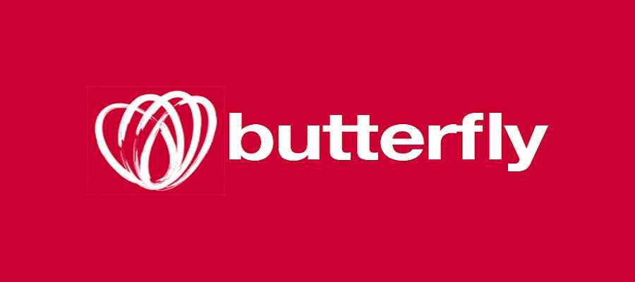 Butterfly-Web development company