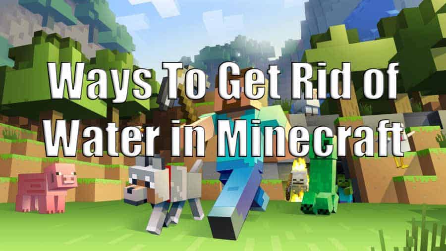 Top 5 Ways To Get Rid of Water in Minecraft