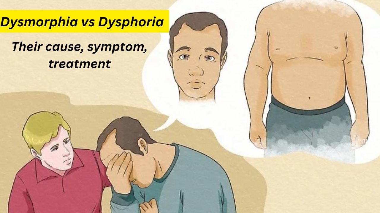 Dysmorphia VS dysphoria