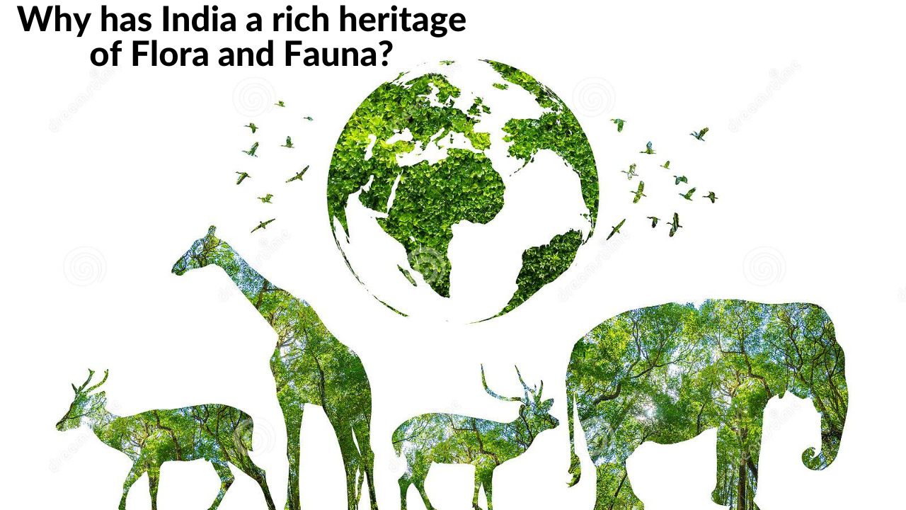 Why has India a rich heritage of Flora and Fauna?